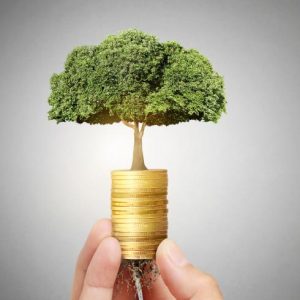 الخدمات المقدمة من البنوك للشركات الصغيرة والمتوسطة